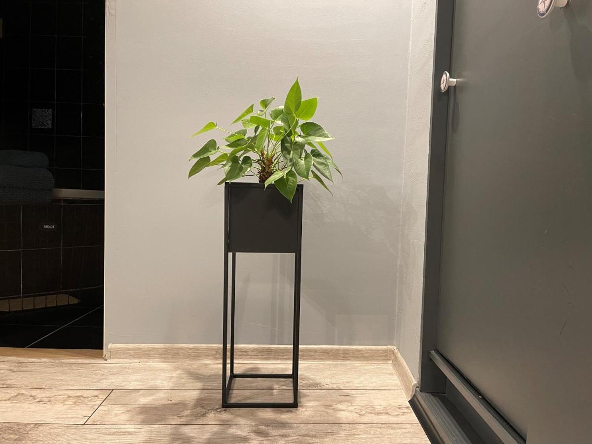 Apartamenty Pod Uwalonym Debem Jezow Sudecki Buitenkant foto